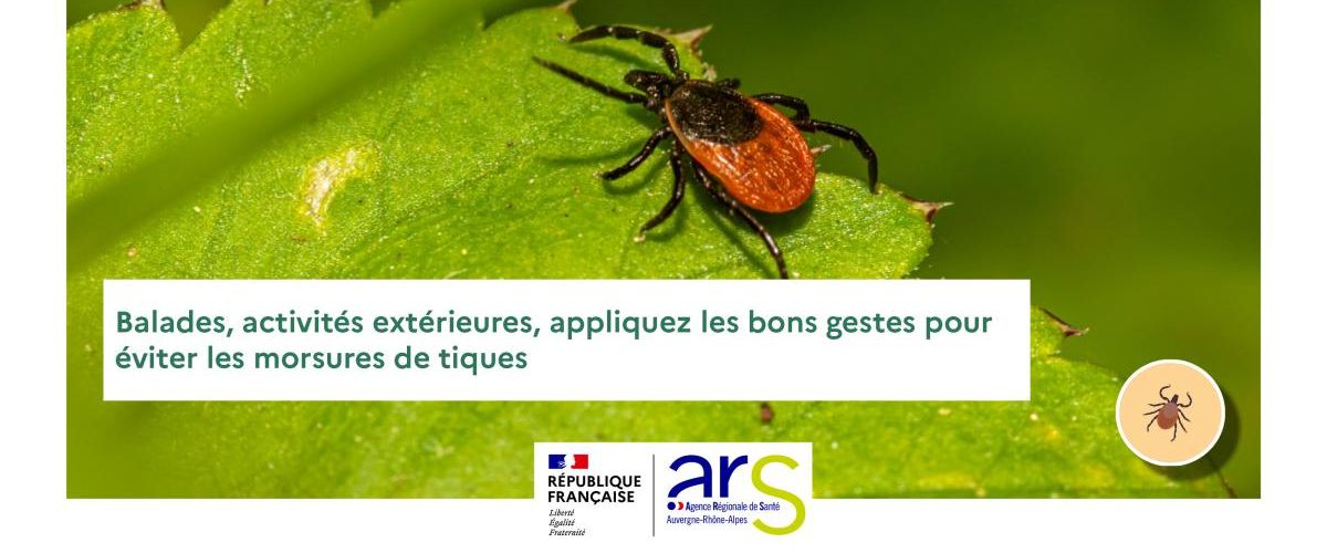 conseils_morsure_tiques-1